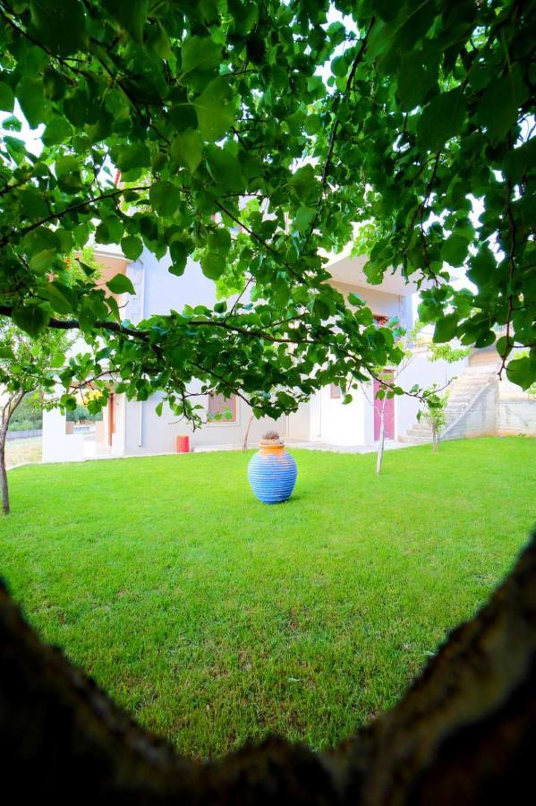 Villas Metoxi Kato Asites Zewnętrze zdjęcie